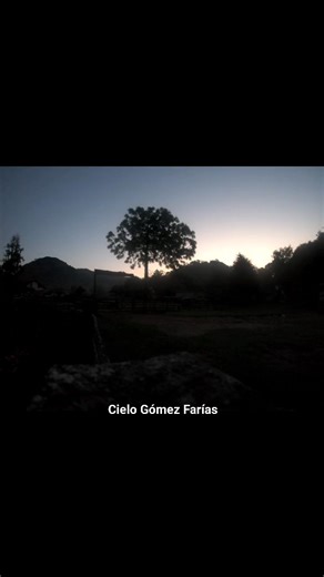 6.6K views · 182 reactions | Les regalo este amanecer virtual desde San José el  de la Reserva de la Biosfera "El Cielo" Gómez Farias en Tamaulipas México. Saludos amigos y amigas. Buenos y fríos días. ✅﫶 Mario Alberto Alvarez | Cielo Gómez Farías | Facebook