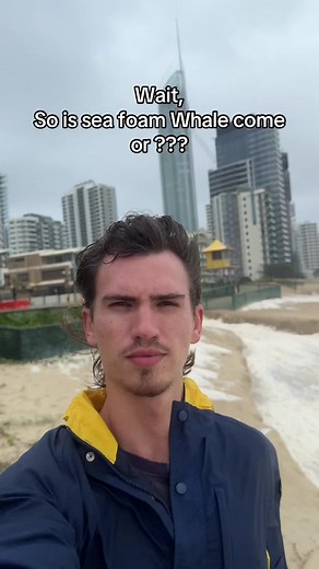 Understanding Sea Foam at Gold Coast Beaches
