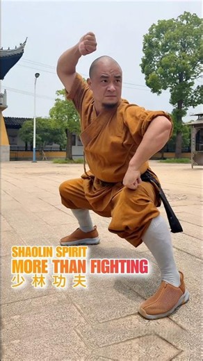 Shaolin Kung Fu ☯️ Half Combat, Half Cultivation (少林功夫)
