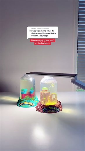 Understanding Sea Monkeys Tank and Growth Food