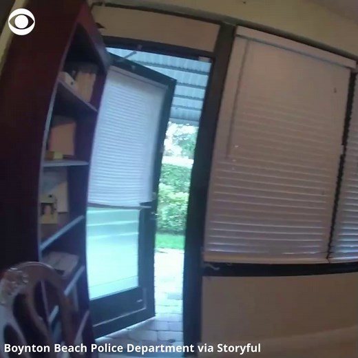 43K views · 108 reactions | CREEPY DISCOVERY: Officials say a police officer who loves reptiles was the "perfect one to respond" when a highly venomous snake was found inside this Florida home.  | 48 Hours | Facebook