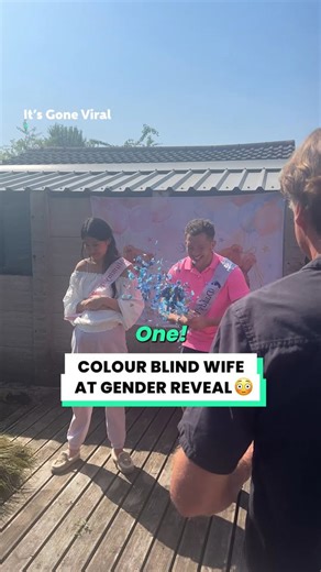 Colour blind wife left out gender reveal