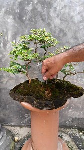 2.8K reactions · 59 shares | To create a slow-release fertilizer net...