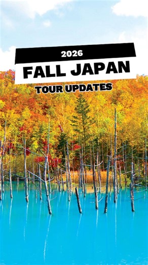 Fall Japan Tour Update! 🍁 Over 40 group tours headed to Japan this year! Kelly Simek and Gene Miyake discuss the announcement on Living 808! #Living808 #NonStopTravel #FallJapanTours #JapanToursFromHawaii | Non-Stop Travel