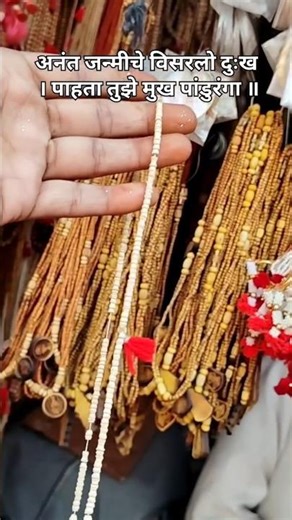 विठ्ठलाच्या चरणी तुलसी माळ ठेवून घातली #explore#reels#nashik#pandharpur#vitthal#tulsimala