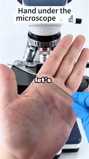 Hand under the microscope 🤯 #facts #microscope