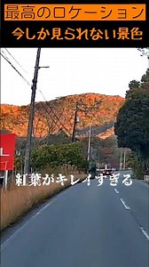 【紅葉がキレイすぎる】今しか見られない景色、幸せのお裾分け、ありがとう、紅葉狩り