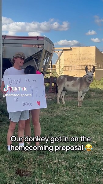 Donkey's Hilarious Homecoming Proposal Moment 😂