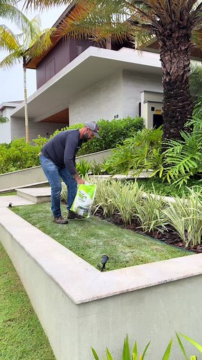 Manutenção de Jardim: Dicas e Cuidados Essenciais