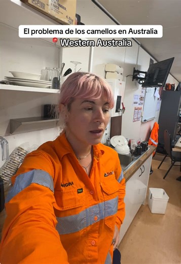El problema de los camellos en Australia