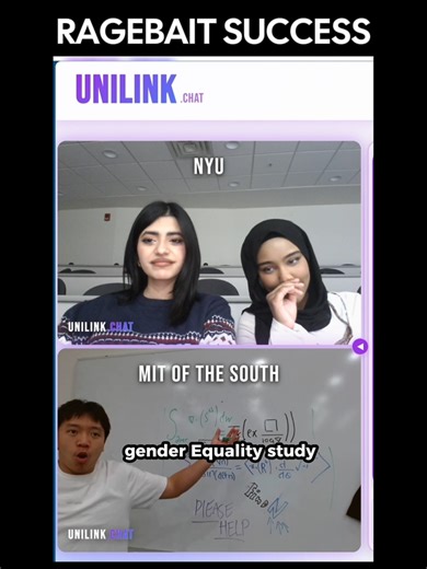 Gender Equality Studies: A Challenging Journey