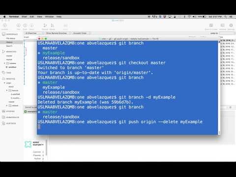 Git (SourceTree) : Delete remote and local branches