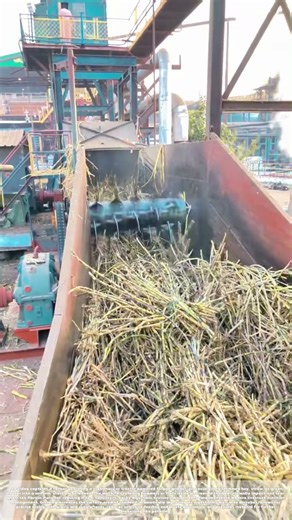 Pulverizing the Pasture: How a Feed Grinder Preps Livestock Rations