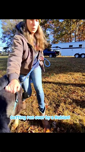 54K views · 472 reactions | Blue Mountain Genetics on Reels | Facebook