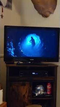 STRANGER THINGS : NETFLIX MUFFED THIS SCENE UP!!!. Sorry S&W Model 66 and Colt Python 4" 357 Mag!.