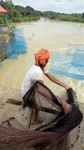 204K views · 175 reactions | Village river fishing #netfishing #fishing #reels | Rural Fishing BD | Facebook