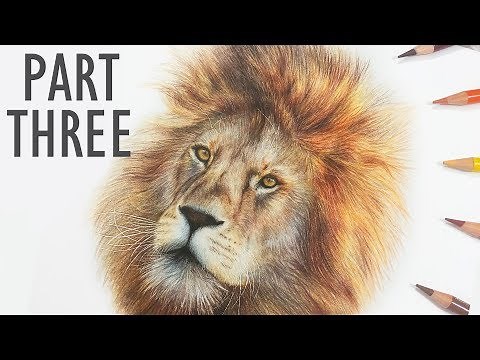 REAL TIME How To Draw a LION with COLORED PENCIL | Part 3