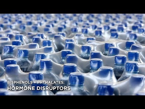 Bisphenols and Phthalates | Six Classes four minute videos