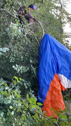Sawing branches to get the paraglider off the tree