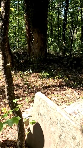 33K views · 801 reactions | A Cemetery Without Care  | Adventures Into History | Facebook