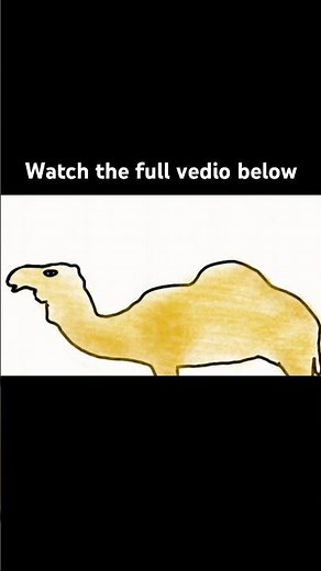 Why camels humps dont store water #camels