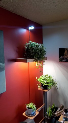 Grow Lights for Indoor Plants, 48 LEDs Full Spectrum Plant Light for Indoor Plants, Height Adjustable Growing Lamp with Base, 3 Optional Spectrums, Auto Timer 3/9/12Hrs, 10 Brightness, 2 Pack