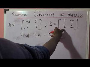 Scalar Multiplication and Division in Matrices