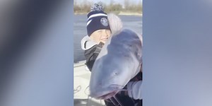 Boy, 8, catches massive 59-pound catfish while on spring break river adventure