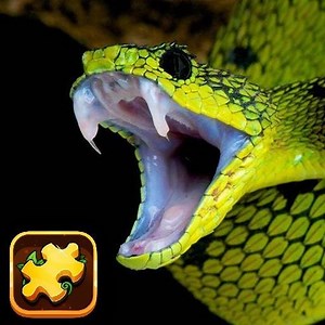 Snake Puzzle Challenge - Play Snake
