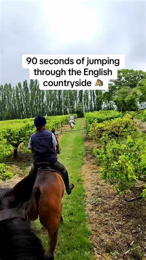 Sunny Countryside Horse Ride ☀️ #horsetok