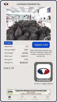 CattleUSA Check-In 11/7