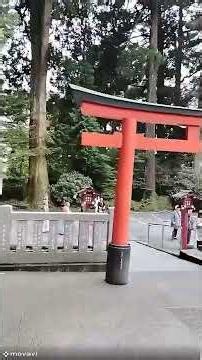 箱根神社ご神体特別公開＋九頭龍神社 #神社 #神社仏閣パワースポット #旅行vlog #運気アップ #開運 #開運波動 #パワースポット #shorts