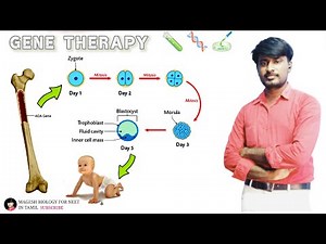 Gene therapy | ADA deficiency | ‪@MAGESHBIOLOGY‬