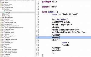 Golang Web Dev - WEB NINJA TRAINING - using templates