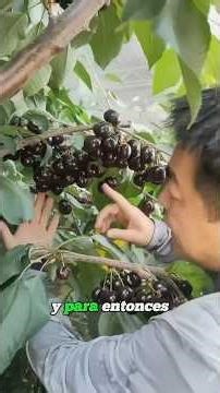 Mistakes that ruin your fruit harvest #gardening