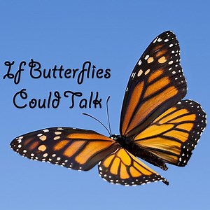 If Butterflies Could Talk - Jason R Martin: Song Lyrics, Music Videos & Concerts