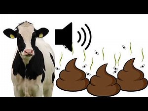 *WARNING* Disgusting Cow poo splat sound effect SFX (HD)