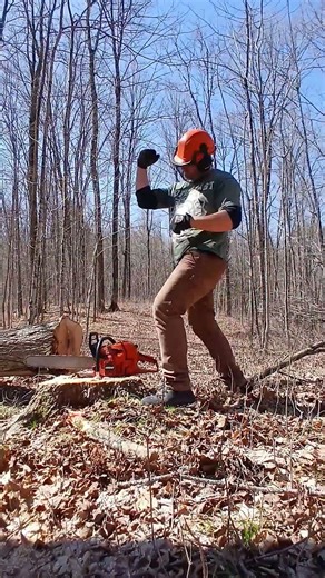 Northern Wisconsin logging spring break is over 🤙 #shorts #chainsaw #logger #tree #echo #lumberjack