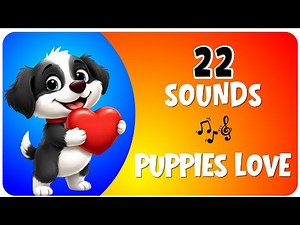 22 Sounds That Puppies Love To Hear The Most 🐶