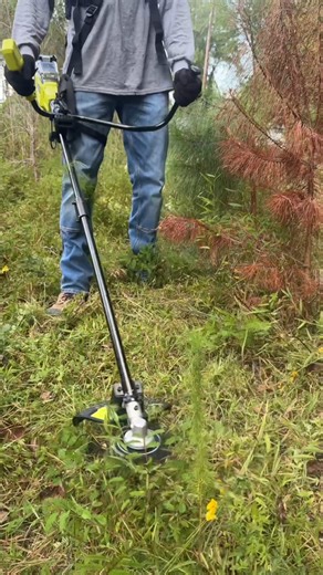 51K views · 314 reactions | "I bought this a few weeks ago & I am...