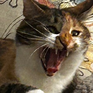 stinky_lady - Twitch