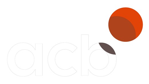 Fundación acb ya es una realidad: baloncesto con impacto social