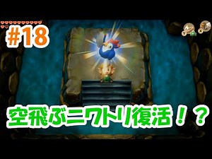【ゼルダ新作】#18 カンバンの迷路でカエルの歌！？ニワトリ復活！？【ゼルダの伝説夢をみる島】