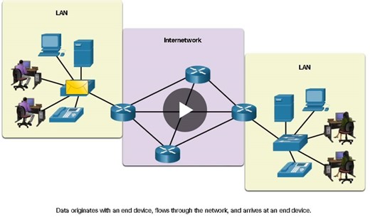 Introduction to Networks Cisco Networking Academy network components End Devices The network devices that people are most familiar with are end devices. To distinguish one end device from another,… | Gurbinder Singh