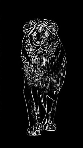White Line Lion Walking Forward – Hand-Drawn 3D Animation on Black Background