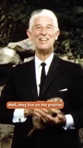 Can you guess which unique animal black-footed ferrets rely on for survival? Prairie dogs! For food, survival and shelter, these endangered ferrets need prairie dogs to continue to live across the Great Plains. Learn more today on Mutual of Omaha’s Wild Kingdom Protecting the Wild. | Mutual of Omaha's Wild Kingdom