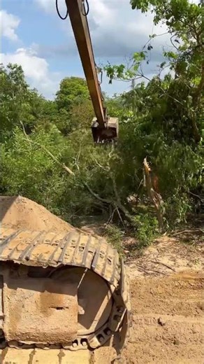 Amazing Long reach excavator work. #excavator #shorts