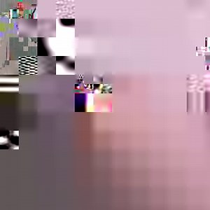 54K views · 767 shares | Cora the poodle only has two legs, but this doesn't stop her from being a happy dog and lighting up peoples' lives. | China Plus America | Facebook