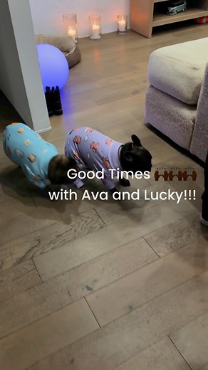 Rosie Tenison | Renee Tenison