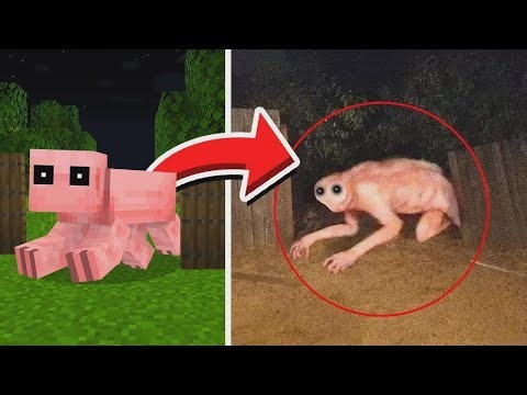 Minecraft Mobs Spotted in Real Life!